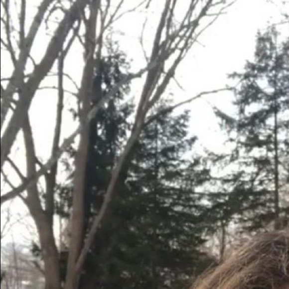 Meet your Posher, Emily - Picture 1 of 1